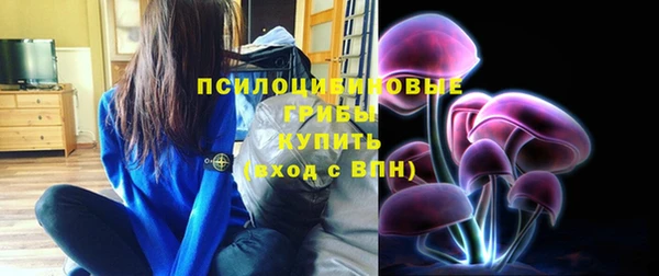 молекула духа Богородицк