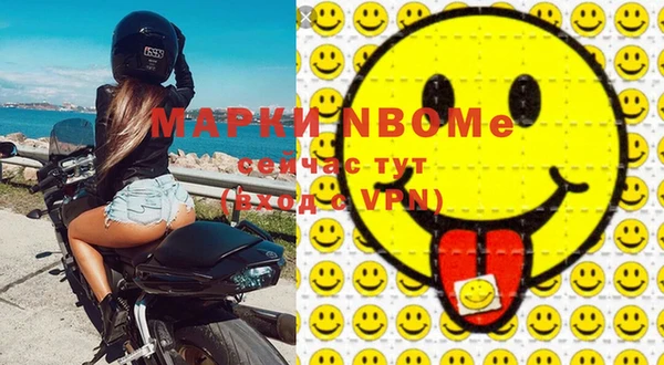молекула духа Богородицк