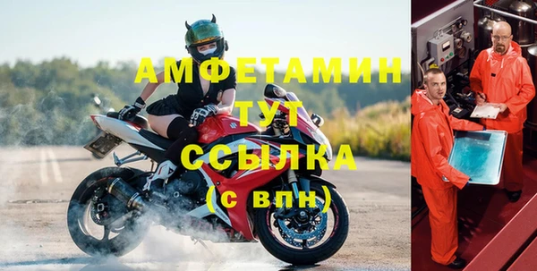 молекула духа Богородицк