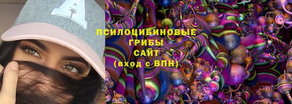 ГАЛЛЮЦИНОГЕННЫЕ ГРИБЫ Валдай