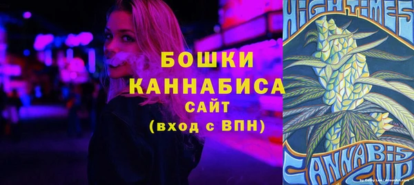 молекула духа Богородицк