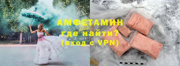 молекула духа Богородицк