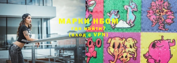 молекула духа Богородицк