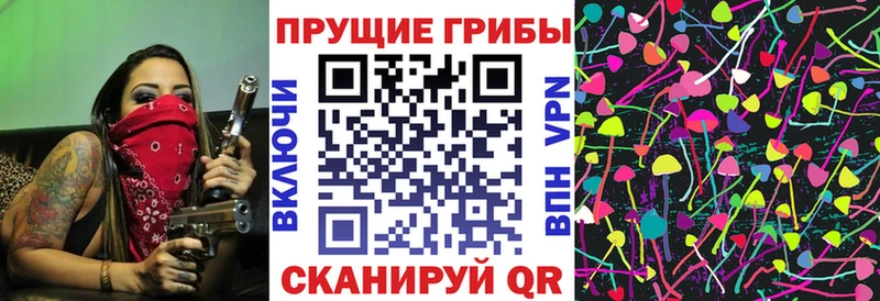 ОМГ ОМГ как зайти  Туймазы  Галлюциногенные грибы прущие грибы 